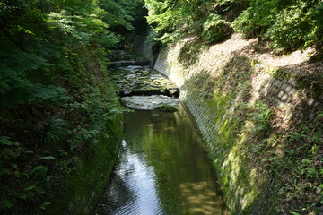 Traditional Japanese Garden and Lush Creek River at Senganen Garden Park in Kagoshima, Japan - 日本 鹿児島 仙巌園 日本庭園 