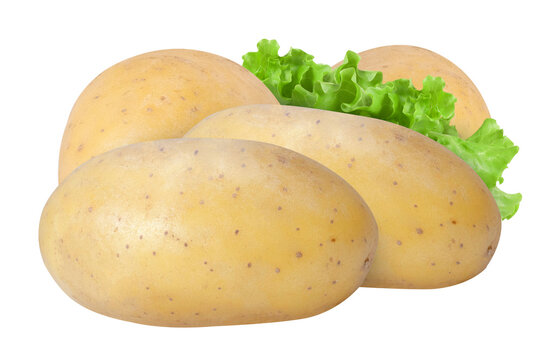 Group of potatoes isolated on white background