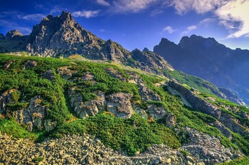 Fototapety na wymiar - Fototapeta24.pl