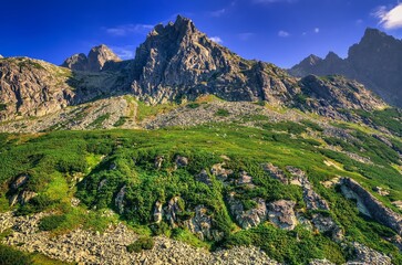 Summer mountain landscape in Slovak mountains. Beautiful rocky peaks in High Tatra, Slovakia. - 614472466