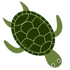 Turtle