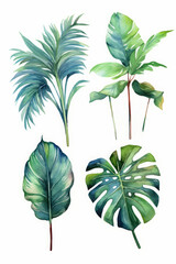 Set of watercolor tropical plant leaves on white , generative AI