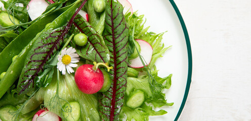 Fresh vegetarian vegetable salad with radish, cucumber and arugula, healthy food.
