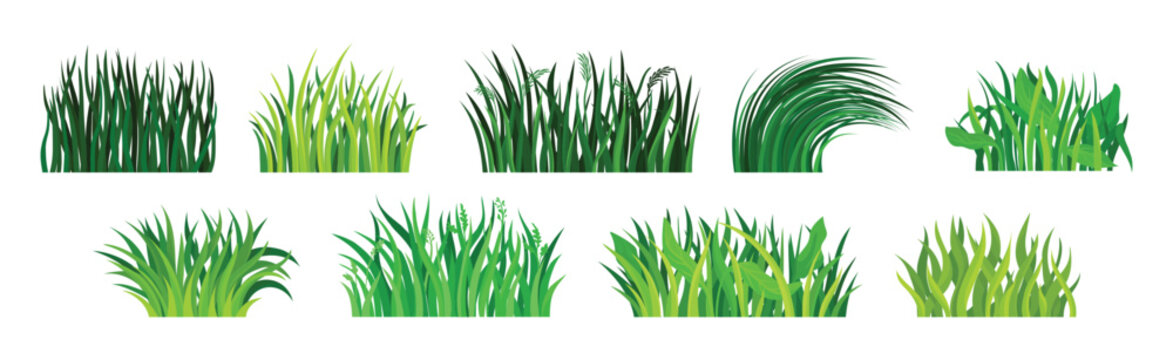 Tufts of Green Fresh Grass as Nature Element Vector Set