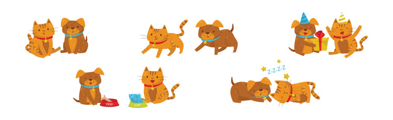 Animal Friendship with Funny Cat and Dog Vector Set