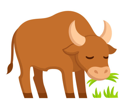 recommend clip art: Cute cartoon ox grazing illustration