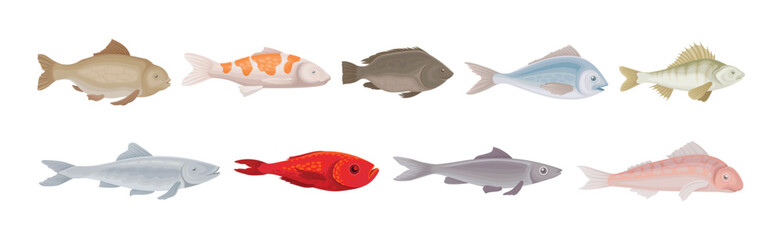 Fish as Gill-bearing Aquatic Animal Used as Seafood Vector Set