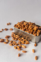 kidney beans	
