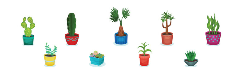 Potted House Plant and Growing Botany as Home Decor Vector Set