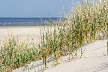 Landscape with sand dunes at wadden islands in the Netherlands.