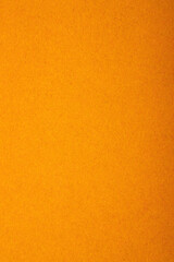Fototapeta premium Abstract textured background with fine details