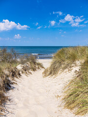 Fototapeta na wymiar Strandzugang an der Ostseeküste bei Rosenort in der Rostocker Heide