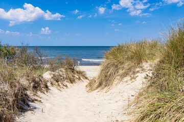 Fototapeta na wymiar Strandzugang an der Ostseeküste bei Rosenort in der Rostocker Heide