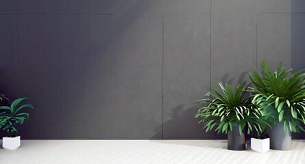 Minimal style interior with big dark wall empty room with plants on a floor