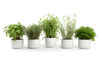 5 potted herbs, white ground Generative AI