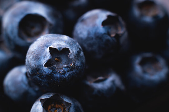 Background with fresh blueberries closeup. Blueberry macro photography. Organic berries of bright blue color. Template for banner, menu, food label, organic shop. Healthy eating. Blurred background
