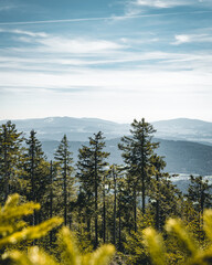 View over the mountains of the Bavarian Forest with trees in the foreground