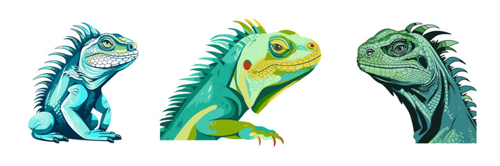 Cartoon iguana set. Vector illustration.