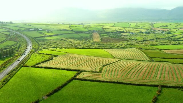 Aerial view of endless lush pastures and farmlands of Ireland's Dingle Peninsula
