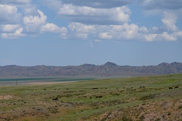 Archarly pass. View from top of the hills above the road connecting Kaochagay and Saryozek