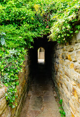 Fototapeta na wymiar A walkthrough green passageway in the historic and mysterious town of Whitby where Dracula was written. 