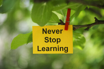 A yellow paper note with the words Never Stop Learning on it attached to a tree branch with a...