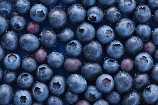A lot of small Fresh Blueberries seamless background, adorned with some glistening droplets of water.. Generative AI