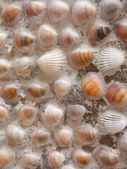 Simple outside wall surface made of different colourful sea shells as material.