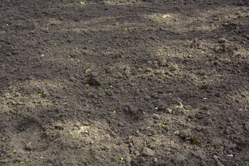 A large area of land for sowing on a large farm