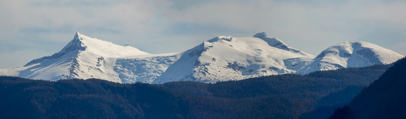 scenic landscape photograph of the snowcapped mountains of Alaska from the ocean view.