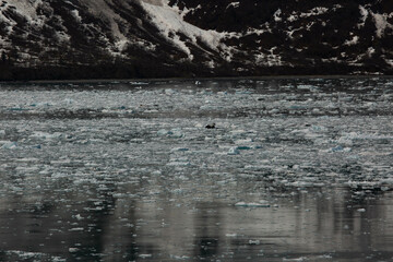 Scenic photograph of the Hubbard Glacier in the Yukon of Alaska landscape 