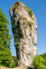 Rock "Hercules Mace" in Pieskowa Skala (Ojcow National Park, Poland)