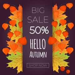 Autumn sale banner. Hello autumn. Autumn maple leaves with branch of physalis on dark background.