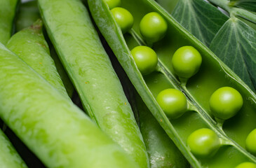 close up green peas in a pod