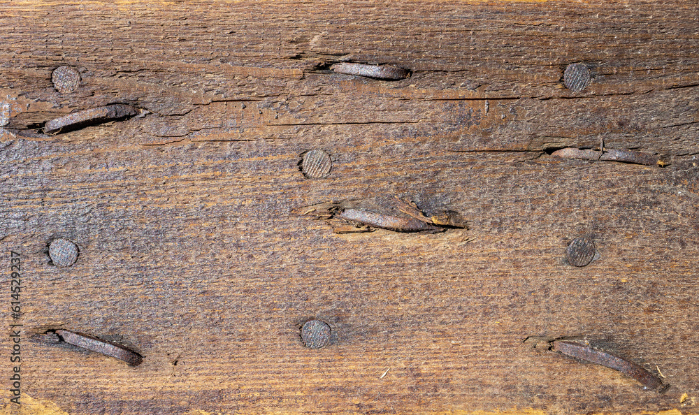 Wall mural the old wood texture with natural patterns