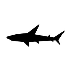 Black silhouette of shark. Vector design.
