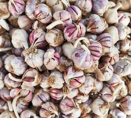  Delicious group of garlic texture