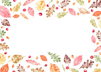 Horizontal frame of colorful autumn leaves imprint, sea buckthorn, red bilberries isolated on transparent background. Watercolor illustration of fall dry leaves, red and orange berries. Space for text