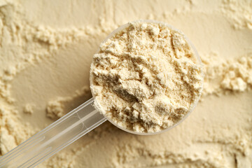 Whey protein powder in a plastic measuring spoon, top view