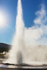 Geyser in Yellowstone