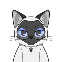 cat