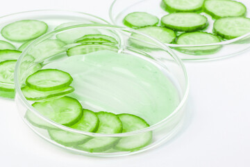 Thinly sliced slices of fresh green cucumber in a Petri dish. Green Cucumber Cream