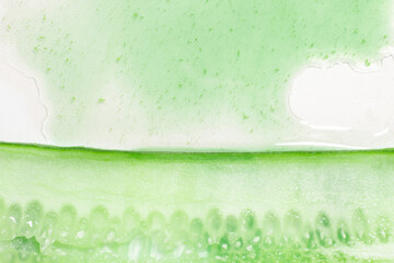 Thinly sliced slice of fresh green cucumber. Green cucumber gel.