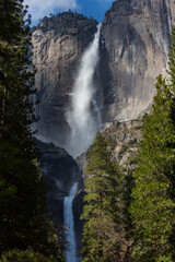 Spring in Yosemite