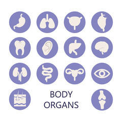Vector icon set of human internal organs and body parts in flat style