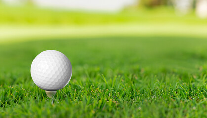 Golf ball on grass in green background. Banner for advertising with copy space. Sport and athletic concept. 