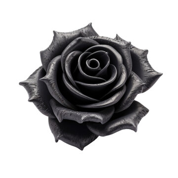 black rose isolated on a transparent background, generative ai