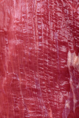 Juicy raw beef with spices, salt and herbs on a dark concrete background