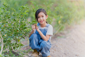  A girl is studying and learning to grow vegetables.Smart Farming, the new innovation of farming, cultivating, growing vegetables.