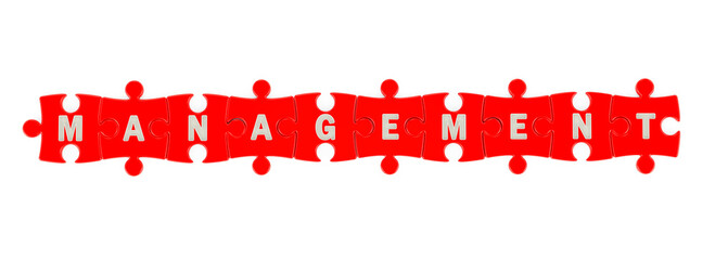 Management word from red puzzles, 3D rendering
